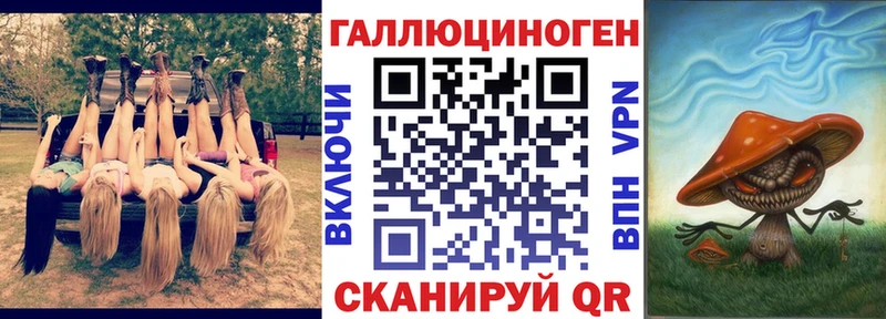 Псилоцибиновые грибы Psilocybine cubensis  Приозерск 